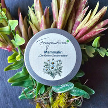 Lade das Bild in den Galerie-Viewer, Geschlossene Metalldose der „Mammalin – Die grüne Zaubersalbe“ von Fragantura, platziert auf einem Arrangement aus grünen und rötlich-gelben Zierpflanzen. Auf dem Etikett ist eine Illustration mit Kamillenblüten zu sehen.