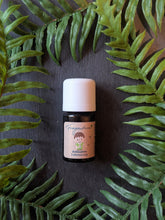 Lade das Bild in den Galerie-Viewer, Antisumm- Mücken Öl