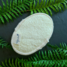Lade das Bild in den Galerie-Viewer, Ovaler Massagepad mit weichem Frottee-Bezug auf der Vorderseite und strukturierter Luffa-Rückseite zur Hautpflege. Das Pad hat eine Handschlaufe zur einfachen Anwendung und ist auf Naturdeko mit Farnblättern platziert. Ein Etikett mit dem Logo „Fragantura“ ist sichtbar.
