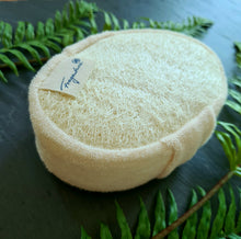 Lade das Bild in den Galerie-Viewer, Ovaler Massagepad mit weichem Frottee-Bezug auf der Vorderseite und strukturierter Luffa-Rückseite zur Hautpflege. Das Pad hat eine Handschlaufe zur einfachen Anwendung und ist auf Naturdeko mit Farnblättern platziert. Ein Etikett mit dem Logo „Fragantura“ ist sichtbar.