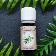 Dunkelgrüne Glasflasche mit weißem Schraubverschluss, darauf ein Etikett der Marke Fragantura mit der Aufschrift „Eukalyptus“ und einer Illustration eines Eukalyptuszweigs; das Fläschchen liegt auf einer dunklen Schieferplatte, umrahmt von grünen Farnblättern.